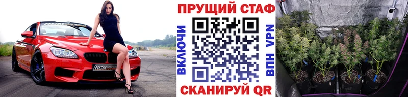 Продажа наркотиков Пустошка Галлюциногенные грибы LSD-25 blacksprut tor ГАШИШ МАРИХУАНА Мефедрон