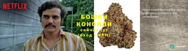 молекула духа Балабаново