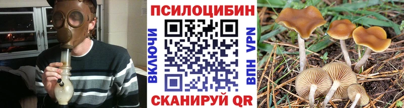 купить   Пустошка  блэк спрут как войти  Псилоцибиновые грибы Magic Shrooms 