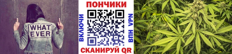 Бошки Шишки AK-47  omg ссылки  Пустошка  купить наркотики цена 